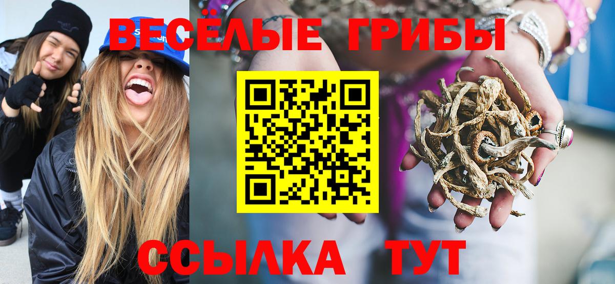 Псилоцибиновые грибы MAGIC MUSHROOMS Ярославль