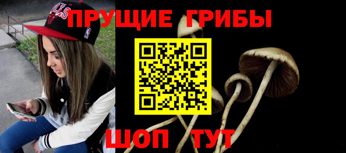 Галлюциногенные грибы Psilocybe  Вход с VPN  где купить наркоту  Ярославль 
